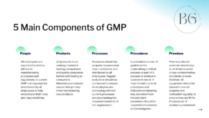 5 Main Components of GMP